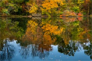 257 Andrea Swenson_Landscapes, Cityscapes, and Waterscapes SALON COLOR_Ruckman Pond_Honorable Mention