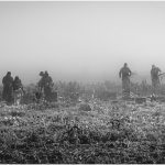117 John Young_All Things Considered SALON MONOCHROME_Harvesting in Fog_Honorable Mention