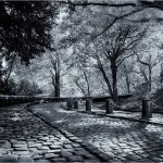 262 Linda Kontos_All Things Considered ADVANCED MONOCHROME_Cloister Cobblestones_Honorable Mention