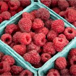 182 Lori Henderson_Markets COLOR Members Open Critique_Raspberries_None