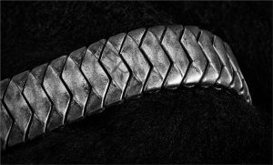 105 Pam Grafstein_Patterns and Textures SALON MONOCHROME_SIlver Snake_Honorable Mention