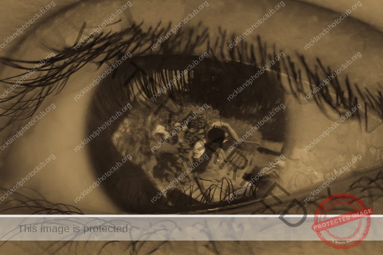 253 Csaba Vadasz_Macro and Closeup_Advanced Monochrome_Reflection_Award