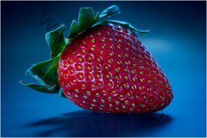 304 Tom McGrath_Macro and Closeup ADVANCED COLOR_Strawberry_Honorable Mention
