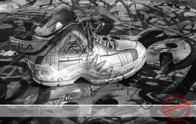 283 Patricia Landi_All Things Considered I ADVANCED MONOCHROME_Have you seen my other half_Award