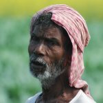 201 Lee Hoffman_People ADVANCED COLOR_Mustard Farmer near Kolkata - 2008_Honorable Mention