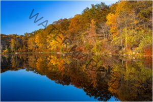 117 John Young_Land City and Waterscapes SALON COLOR_Autumn Colors_Second Place