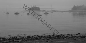 201 Lee Hoffman_Land City and Waterscapes ADVANCED MONOCHROME_Acadia_Second Place