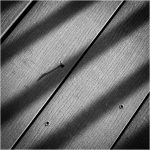 117 John Young_All Things Considered Square Crop SALON MONOCHROME_Trex Deck Pattern_Second Place