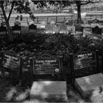 207 Betty Forkin_Cemeteries and Places of Worship SALON MONOCHROME_Old Friends Cemetery_Honorable Mention