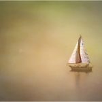 199 Barbara Socor_Minimal_SALON COLOR_In the Still_Honorable Mention