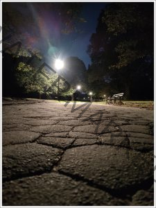 185 Joseph Neuwirth_Night Photography SALON COLOR_A walk_Honorable Mention