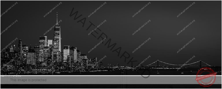 256 Jan Nazalewicz_Night Photography SALON MONOCHROME_Panoramic view of Lower Manhattan_Award