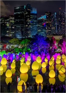 257 Andrea Swenson_Night Photography SALON COLOR_Singapore Gardens_Honorable Mention