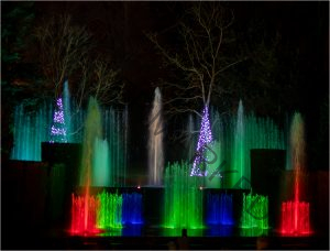 283 Patricia Landi_Night Photography ADVANCED COLOR_Christmas Season at Longwood Gardens_Honorable Mention