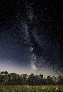 300 Gedalya Rapoport_Night Photography SALON COLOR_Milky Way_Honorable Mention