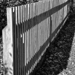 328 Amnon Halfi_Compositional Elements ADVANCED MONOCHROME_Fence to nowhere_Honorable Mention