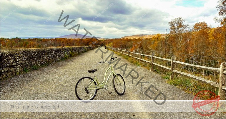 335 TIna Traster_Compositional Elements ADVANCED COLOR_Bike on Path_Award