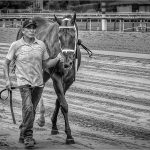 304 Tom McGrath_Motion SALON MONOCHROME_Good Job_Honorable Mention