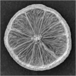 304 Tom McGrath_All Things Considered Square Crop SALON MONOCHROME_Orange_Honorable Mention