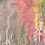 328 Amnon Halfi_All Things Considered Square Crop ADVANCED COLOR_Fall collors reflections_Honorable Mention