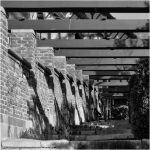 333 Ira Schieren_All Things Considered Square Crop ADVANCED MONOCHROME_Stepped Winter Garden_Honorable Mention