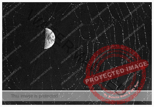 304 Tom McGrath_All Things Considered ADVANCED MONOCHROME_Moon in spider web